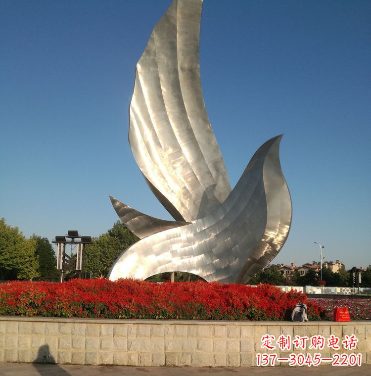 甘肃“鸽子之恋”——让爱飞翔