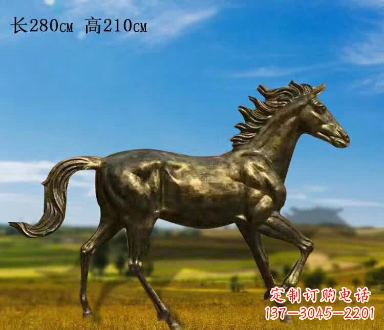 甘肃新马之精髓