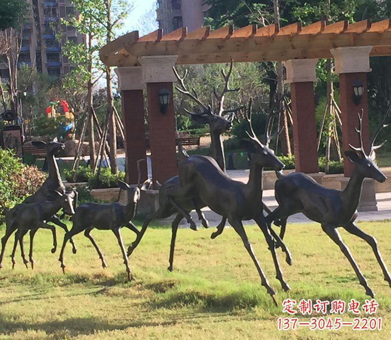 甘肃“梅花鹿传递自由与美好”