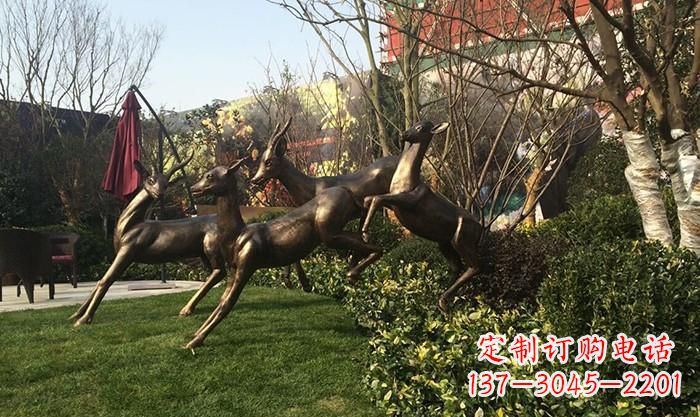 甘肃“跃动的小鹿雕塑”