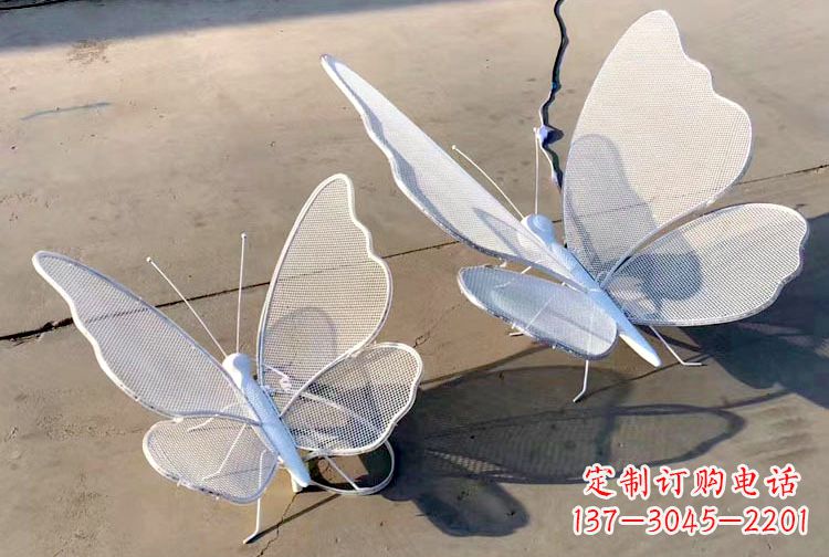 甘肃不锈钢钢丝网格蝴蝶雕塑——灯光下的灵动之美