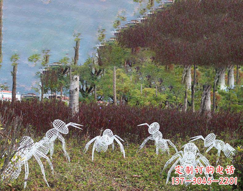 甘肃不锈钢蚂蚁镂空雕塑艺术与自然的完美结合