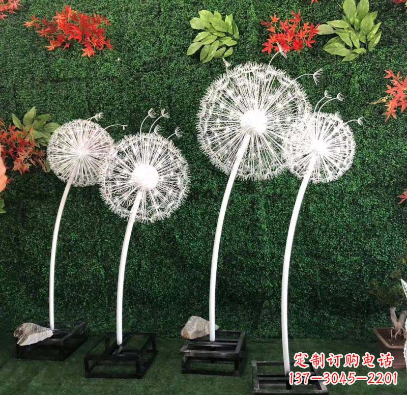 甘肃不锈钢蒲公英——折射着自然之美