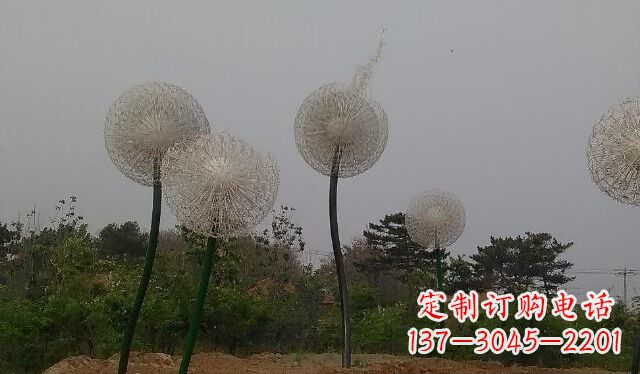 甘肃蒲公英的绚丽多彩
