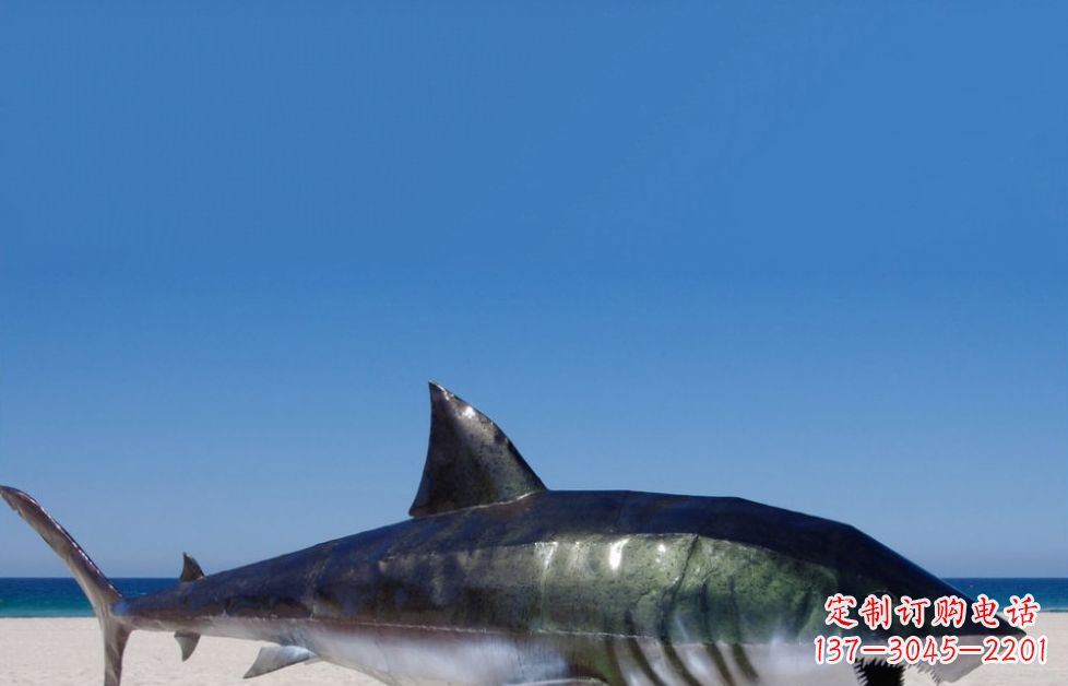 甘肃海洋生物之美——不锈钢鲨鱼雕塑