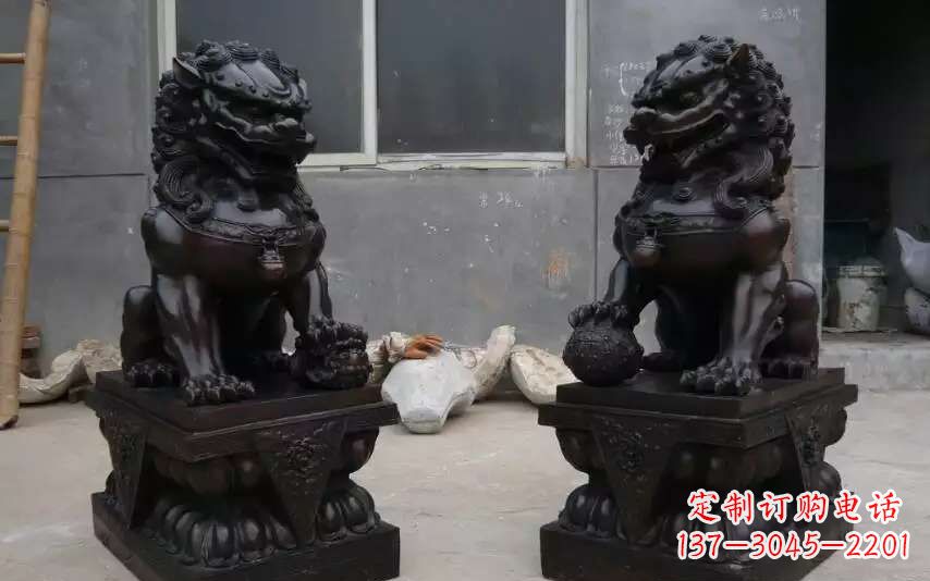 甘肃踩球镇的狮子之家