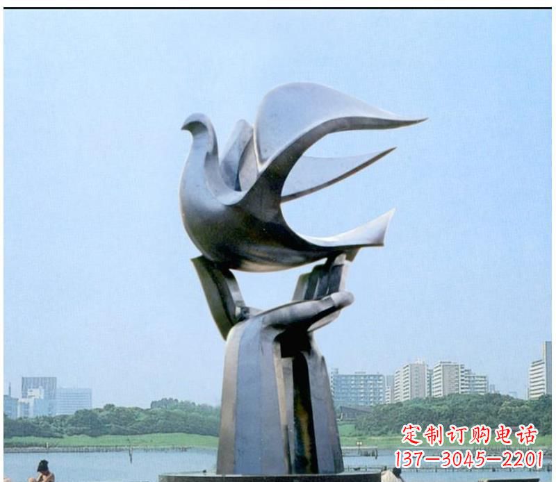 甘肃静谧之鸽,传递和平象征~
