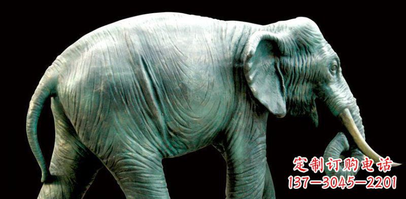 甘肃公园大象动物铜雕 (3)