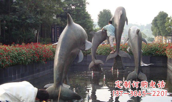 甘肃铜雕海豚——传递着海洋之美的艺术作品