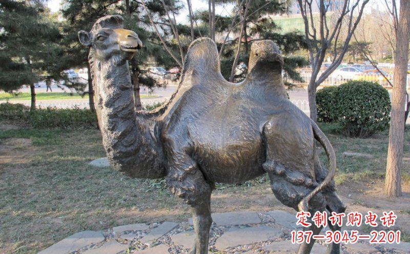 甘肃铜骆驼雕塑——浓缩自然美丽