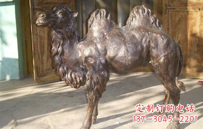 甘肃公园骆驼铜雕222