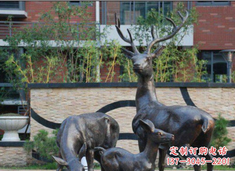 甘肃古雅优雅的梅花鹿铜雕