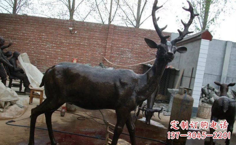 甘肃公园梅花鹿小鹿动物铜雕