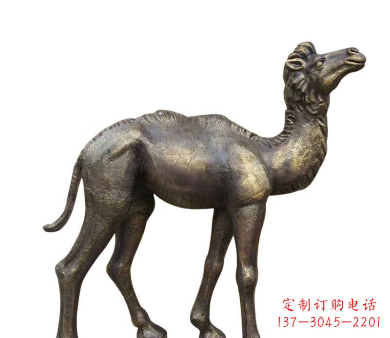 甘肃奇美洁净的骆驼铜雕
