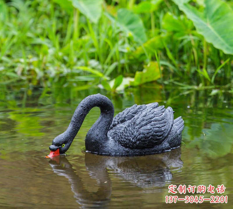 甘肃黑天鹅喝水款-池塘水塘装饰动物雕塑摆件