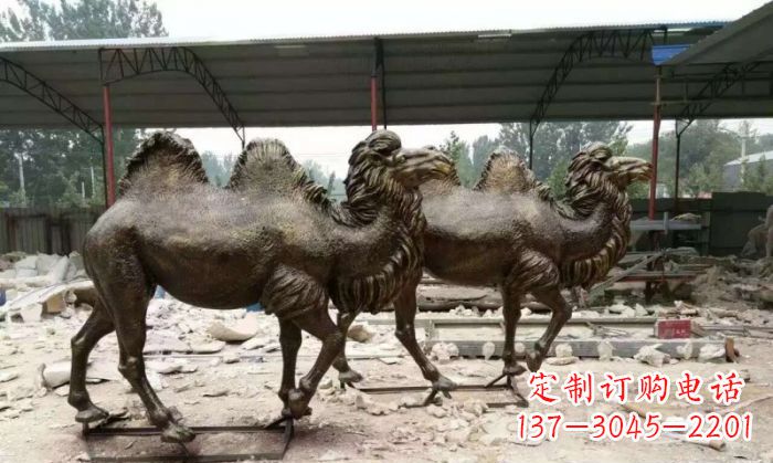 甘肃典雅优美的骆驼铜雕
