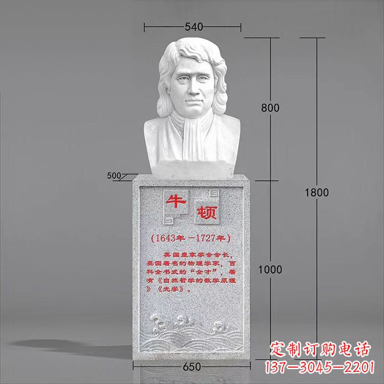 甘肃艺术精灵:牛顿汉白玉石头像雕塑
