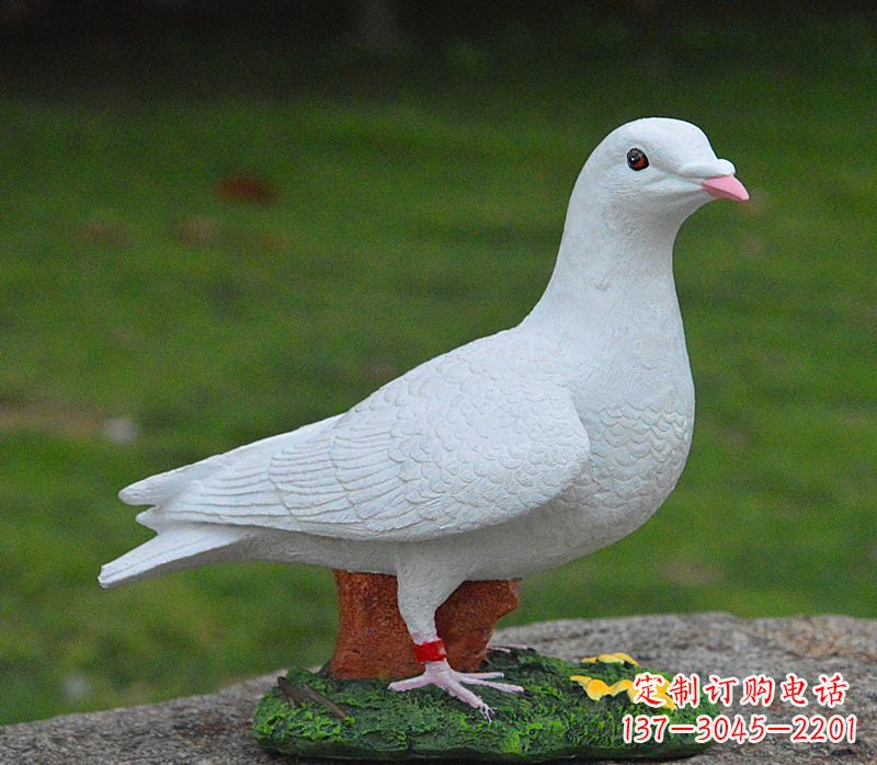 甘肃美丽的和平鸽雕塑,传递暖暖的正能量