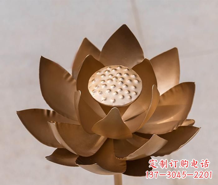 甘肃铜雕景观荷花