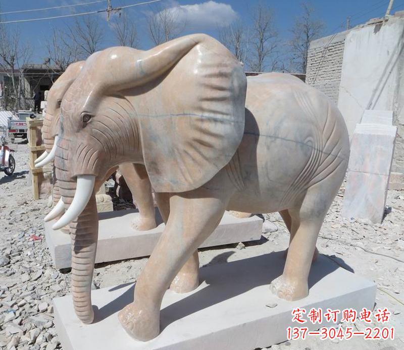 甘肃晚霞红卷鼻大象