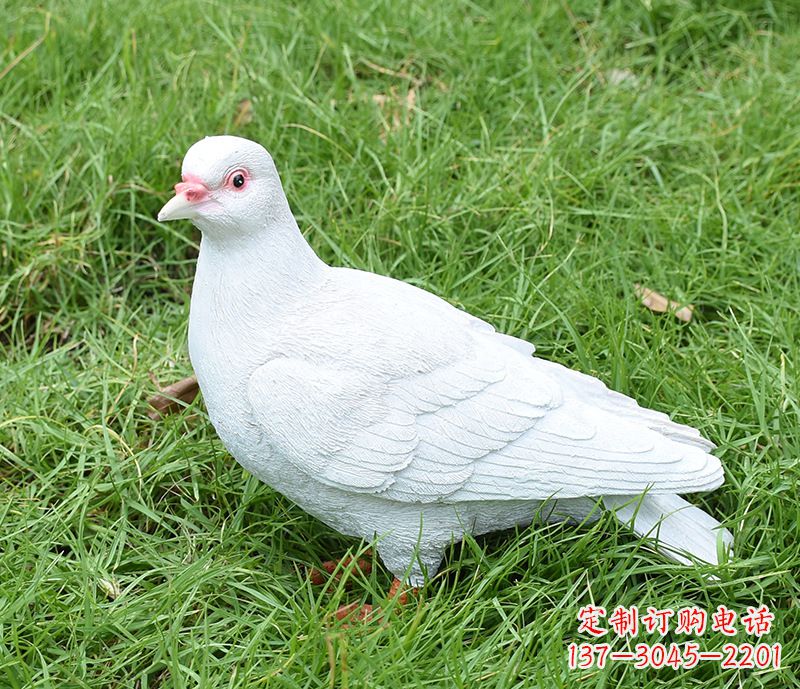 甘肃潍坊和平鸽雕塑女孩
