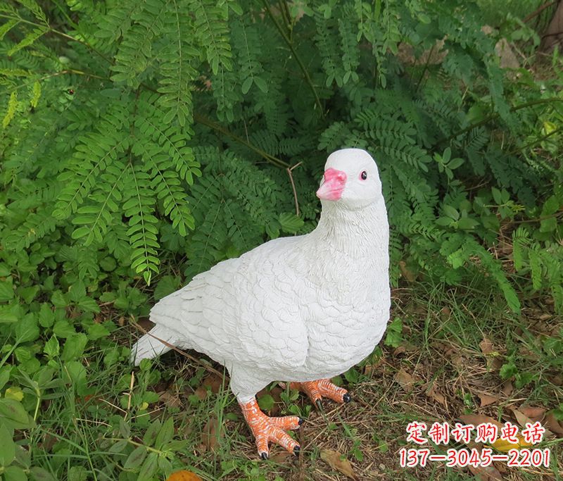 甘肃潍坊青年路和平鸽灰姑娘雕塑