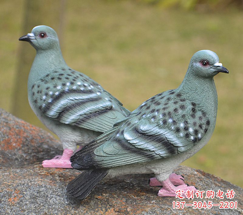 甘肃校园雕塑和平鸽图片