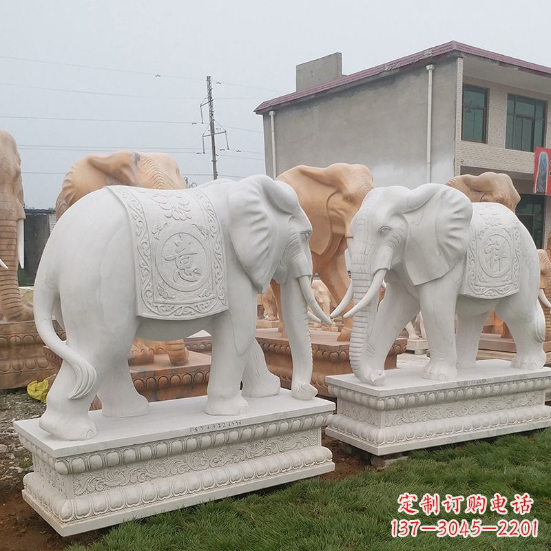 甘肃学校石雕大象