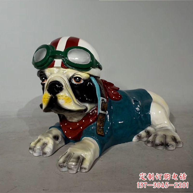 甘肃宇航员斗牛犬
